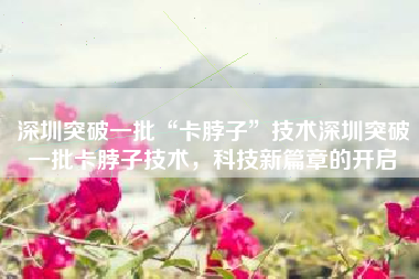 深圳突破一批“卡脖子”技术深圳突破一批卡脖子技术，科技新篇章的开启