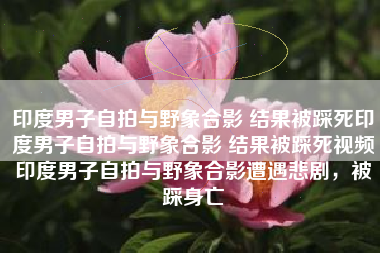印度男子自拍与野象合影 结果被踩死印度男子自拍与野象合影 结果被踩死视频印度男子自拍与野象合影遭遇悲剧，被踩身亡