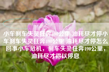 小车刹车失灵狂奔490公里 油耗尽才停小车刹车失灵狂奔490公里 油耗尽才停怎么回事小车危机，刹车失灵狂奔490公里，油耗尽才得以停息