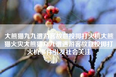 大熊猫九九遭游客故意投掷打火机大熊猫火灾大熊猫九九遭遇游客故意投掷打火机事件引发社会关注