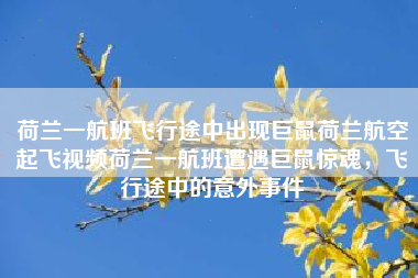 荷兰一航班飞行途中出现巨鼠荷兰航空起飞视频荷兰一航班遭遇巨鼠惊魂，飞行途中的意外事件