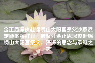 金正恩深夜赴锦绣山太阳宫祭父沙家浜定能够将群丑一鼓聚歼金正恩深夜赴锦绣山太阳宫祭父，深深的思念与承继之志