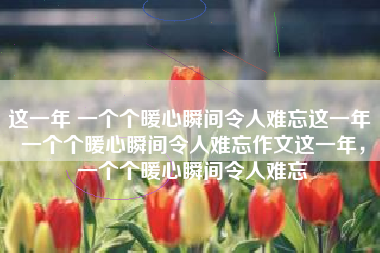 这一年 一个个暖心瞬间令人难忘这一年 一个个暖心瞬间令人难忘作文这一年，一个个暖心瞬间令人难忘