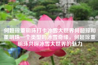 何超琼董明珠打卡冰雪大世界何超琼和董明珠一个类型吗冰雪奇缘，何超琼董明珠共探冰雪大世界的魅力