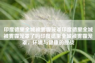 印度德里全城被雾霾笼罩印度德里全城被雾霾笼罩了吗印度德里全城被雾霾笼罩，环境与健康的挑战