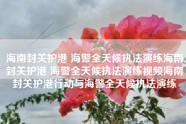 海南封关护港 海警全天候执法演练海南封关护港 海警全天候执法演练视频海南封关护港行动与海警全天候执法演练