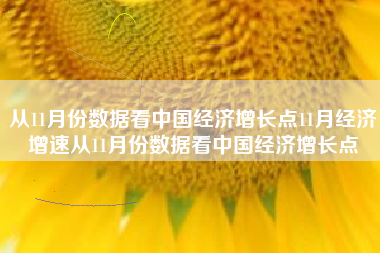 从11月份数据看中国经济增长点11月经济增速从11月份数据看中国经济增长点