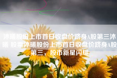 沐曦股份上市首日收盘价跻身A股第三沐曦 股票沐曦股份上市首日收盘价跻身A股第三，股市新星闪耀