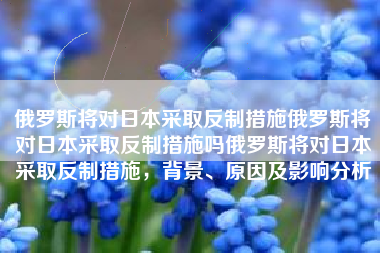 俄罗斯将对日本采取反制措施俄罗斯将对日本采取反制措施吗俄罗斯将对日本采取反制措施，背景、原因及影响分析