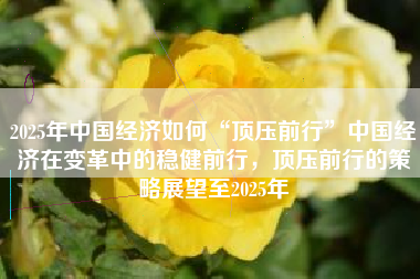 2025年中国经济如何“顶压前行”中国经济在变革中的稳健前行，顶压前行的策略展望至2025年