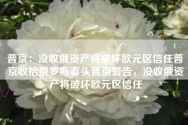 普京：没收俄资产将破坏欧元区信任普京收拾俄罗斯寡头普京警告，没收俄资产将破坏欧元区信任