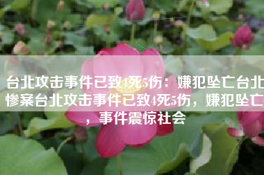 台北攻击事件已致4死5伤：嫌犯坠亡台北惨案台北攻击事件已致4死5伤，嫌犯坠亡，事件震惊社会