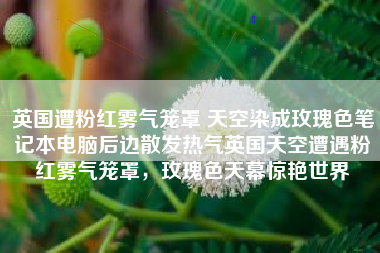 英国遭粉红雾气笼罩 天空染成玫瑰色笔记本电脑后边散发热气英国天空遭遇粉红雾气笼罩，玫瑰色天幕惊艳世界