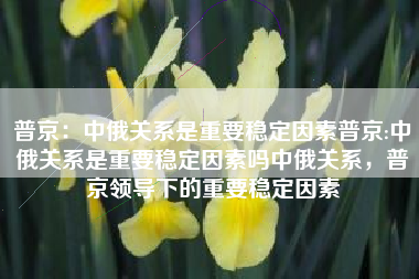 普京：中俄关系是重要稳定因素普京:中俄关系是重要稳定因素吗中俄关系，普京领导下的重要稳定因素