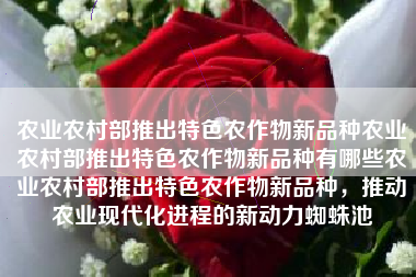 农业农村部推出特色农作物新品种农业农村部推出特色农作物新品种有哪些农业农村部推出特色农作物新品种，推动农业现代化进程的新动力蜘蛛池