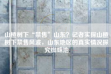山楂树下“禁售”山东？记者实探山楂树下禁售风波，山东地区的真实情况探究蜘蛛池