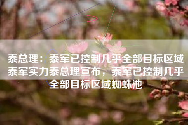 泰总理：泰军已控制几乎全部目标区域泰军实力泰总理宣布，泰军已控制几乎全部目标区域蜘蛛池