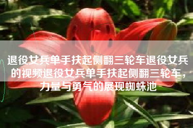 退役女兵单手扶起侧翻三轮车退役女兵的视频退役女兵单手扶起侧翻三轮车，力量与勇气的展现蜘蛛池