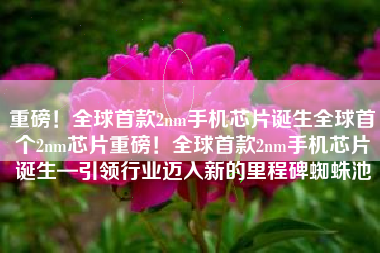 重磅！全球首款2nm手机芯片诞生全球首个2nm芯片重磅！全球首款2nm手机芯片诞生—引领行业迈入新的里程碑蜘蛛池