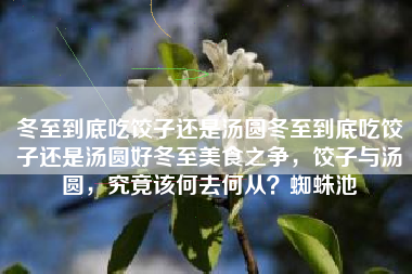 冬至到底吃饺子还是汤圆冬至到底吃饺子还是汤圆好冬至美食之争，饺子与汤圆，究竟该何去何从？蜘蛛池