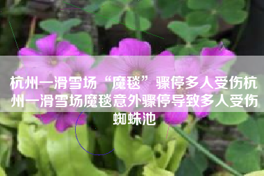 杭州一滑雪场“魔毯”骤停多人受伤杭州一滑雪场魔毯意外骤停导致多人受伤蜘蛛池