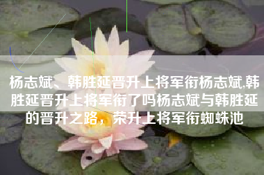 杨志斌、韩胜延晋升上将军衔杨志斌,韩胜延晋升上将军衔了吗杨志斌与韩胜延的晋升之路，荣升上将军衔蜘蛛池
