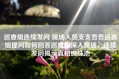 巡查组连续发问 现场人员支支吾吾巡查组提问如何回答巡查组深入现场，连续发问揭示真相蜘蛛池