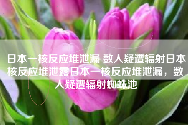 日本一核反应堆泄漏 数人疑遭辐射日本核反应堆泄露日本一核反应堆泄漏，数人疑遭辐射蜘蛛池