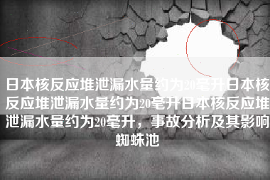 日本核反应堆泄漏水量约为20毫升日本核反应堆泄漏水量约为20毫升日本核反应堆泄漏水量约为20毫升，事故分析及其影响蜘蛛池