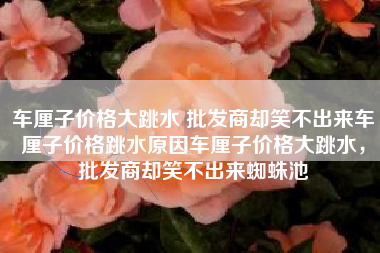 车厘子价格大跳水 批发商却笑不出来车厘子价格跳水原因车厘子价格大跳水，批发商却笑不出来蜘蛛池