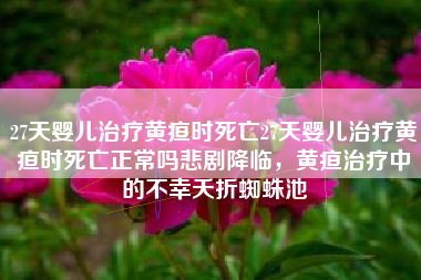 27天婴儿治疗黄疸时死亡27天婴儿治疗黄疸时死亡正常吗悲剧降临，黄疸治疗中的不幸夭折蜘蛛池