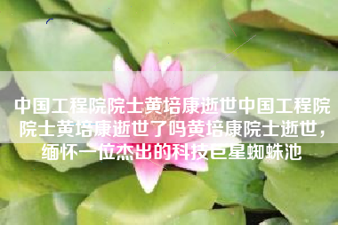 中国工程院院士黄培康逝世中国工程院院士黄培康逝世了吗黄培康院士逝世，缅怀一位杰出的科技巨星蜘蛛池