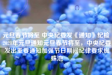 元旦春节将至 中央纪委发《通知》纪检 2021年元旦通知元旦春节将至，中央纪委发出重要通知加强节日期间纪律要求蜘蛛池