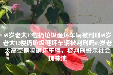69岁老太12楼扔垃圾砸坏车辆被判刑69岁老太12楼扔垃圾砸坏车辆被判刑吗69岁老太高空抛物砸坏车辆，被判刑警示社会蜘蛛池