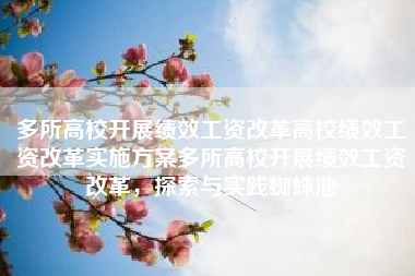 多所高校开展绩效工资改革高校绩效工资改革实施方案多所高校开展绩效工资改革，探索与实践蜘蛛池