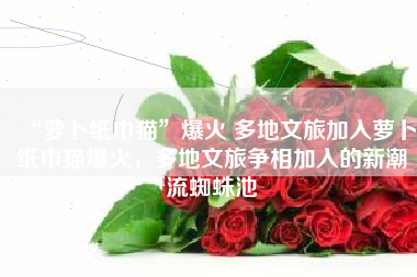 “萝卜纸巾猫”爆火 多地文旅加入萝卜纸巾猫爆火，多地文旅争相加入的新潮流蜘蛛池