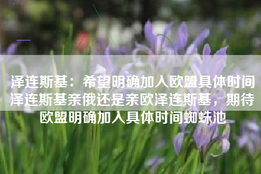 泽连斯基：希望明确加入欧盟具体时间泽连斯基亲俄还是亲欧泽连斯基，期待欧盟明确加入具体时间蜘蛛池