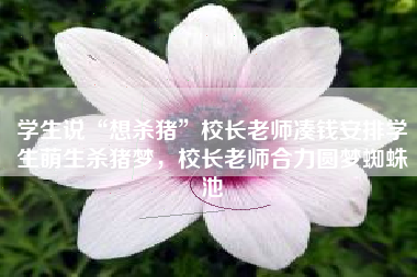 学生说“想杀猪”校长老师凑钱安排学生萌生杀猪梦，校长老师合力圆梦蜘蛛池