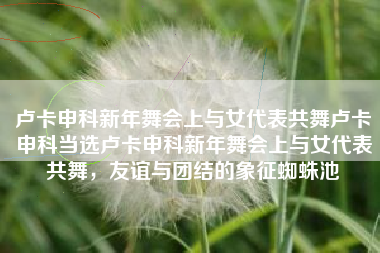 卢卡申科新年舞会上与女代表共舞卢卡申科当选卢卡申科新年舞会上与女代表共舞，友谊与团结的象征蜘蛛池