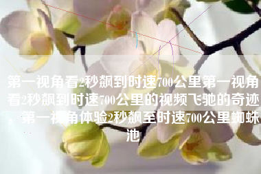 第一视角看2秒飙到时速700公里第一视角看2秒飙到时速700公里的视频飞驰的奇迹，第一视角体验2秒飙至时速700公里蜘蛛池