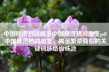 中国经济热词图鉴中国经济热词图鉴pdf中国经济热词图鉴，揭示繁荣背后的关键词脉络蜘蛛池