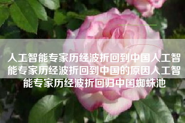 人工智能专家历经波折回到中国人工智能专家历经波折回到中国的原因人工智能专家历经波折回归中国蜘蛛池