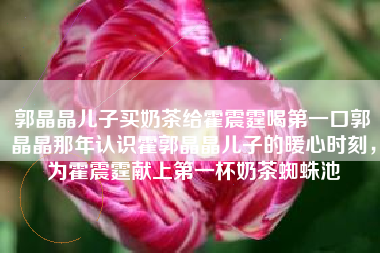 郭晶晶儿子买奶茶给霍震霆喝第一口郭晶晶那年认识霍郭晶晶儿子的暖心时刻，为霍震霆献上第一杯奶茶蜘蛛池