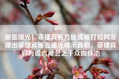 画面曝光！菲律宾官方扯谎被打脸网友曝出菲律宾画面曝光揭示真相，菲律宾官方谎言被公之于众蜘蛛池
