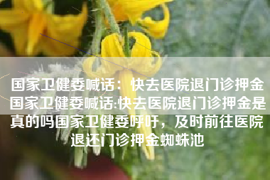 国家卫健委喊话：快去医院退门诊押金国家卫健委喊话:快去医院退门诊押金是真的吗国家卫健委呼吁，及时前往医院退还门诊押金蜘蛛池