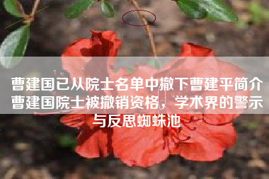 曹建国已从院士名单中撤下曹建平简介曹建国院士被撤销资格，学术界的警示与反思蜘蛛池
