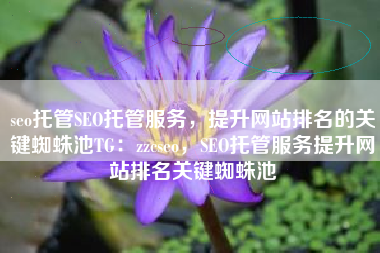 seo托管SEO托管服务，提升网站排名的关键蜘蛛池TG：zzcseo，SEO托管服务提升网站排名关键蜘蛛池
