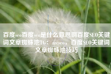 百度seo百度seo是什么意思啊百度SEO关键词文章蜘蛛池TG：zzcseo，百度SEO关键词文章蜘蛛池技巧