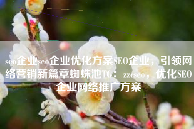 seo企业seo企业优化方案SEO企业，引领网络营销新篇章蜘蛛池TG：zzcseo，优化SEO企业网络推广方案
