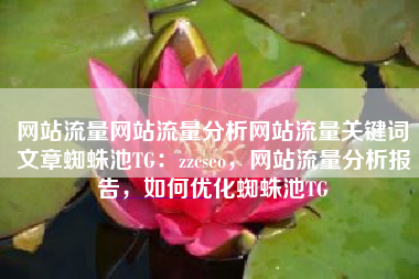 网站流量网站流量分析网站流量关键词文章蜘蛛池TG：zzcseo，网站流量分析报告，如何优化蜘蛛池TG